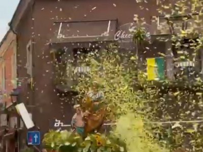 Video. Caserta. Emozionante. Sant'Anna nel centro storico: grandissimo entusiasmo e partecipazione