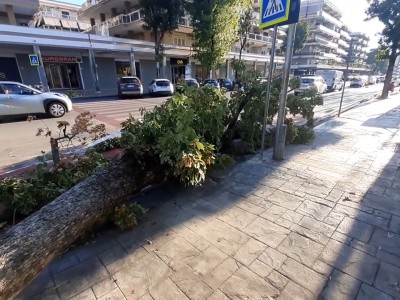 Video. Caserta. Grosso albero caduto in via G.M. Bosco, da salotto della citt� ad una delle strade pi� degradate del capoluogo