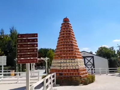 Video. Pignataro M. Meraviglioso anche quest'anno il 'Giardino delle Zucche - Pumpkin Patch'. Lo scopriamo